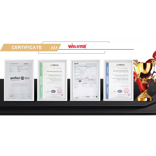 certificadowelstar