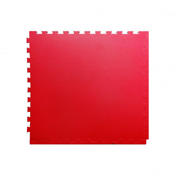 tatamigomaevabicolor
